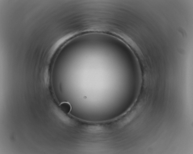X0000114410838200910161205