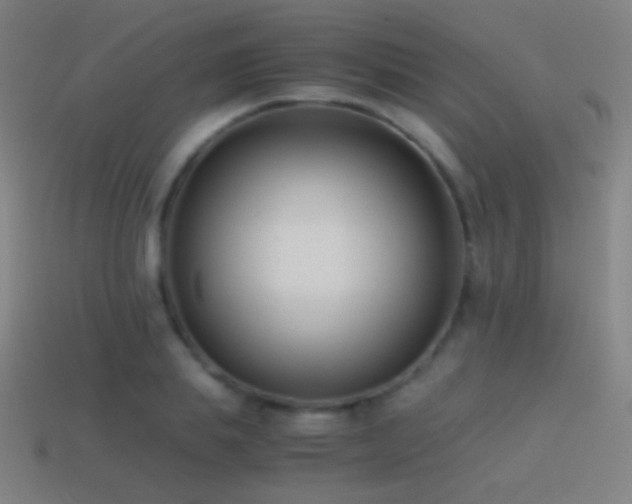 X0000114410839200910161205
