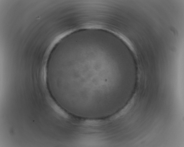 X0000114410840200910161205