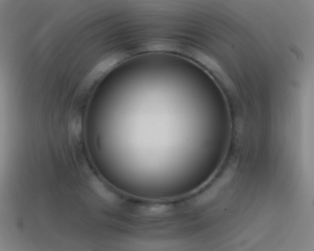X0000114410841200910161205