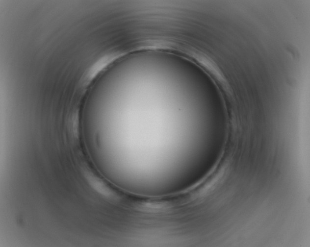 X0000114410842200910161205