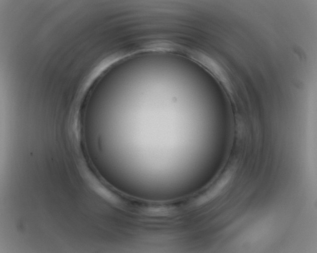 X0000114410843200910161205