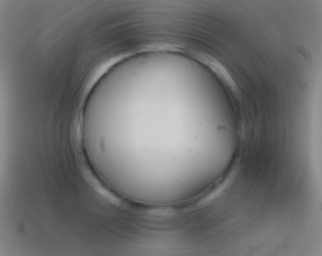 X0000114410844200910161205