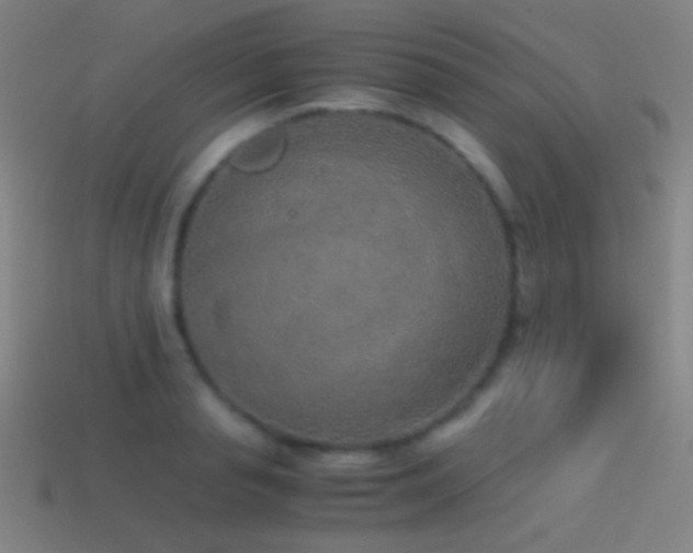 X0000114410845200910161205
