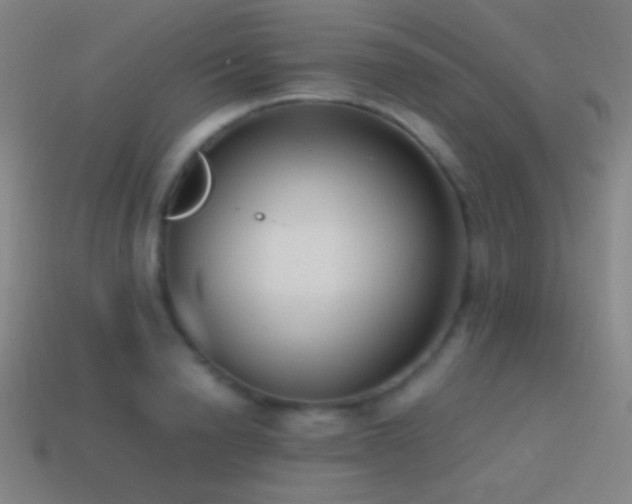 X0000114410846200910161205