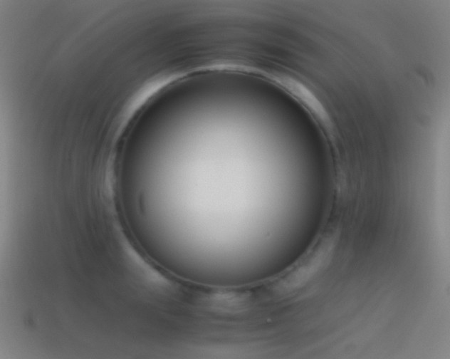 X0000114410847200910161205