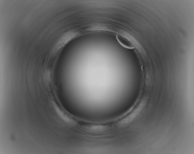 X0000114410849200910161205