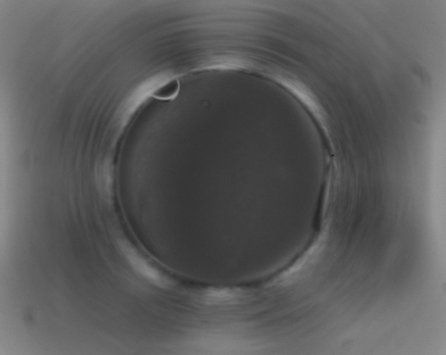 X0000114410850200910161205