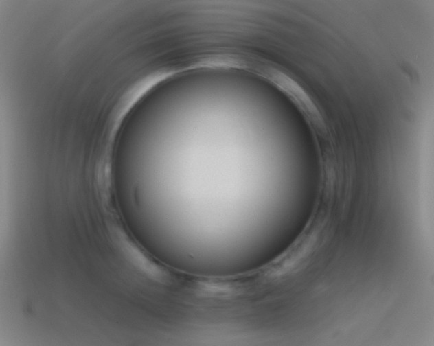 X0000114410852200910161205