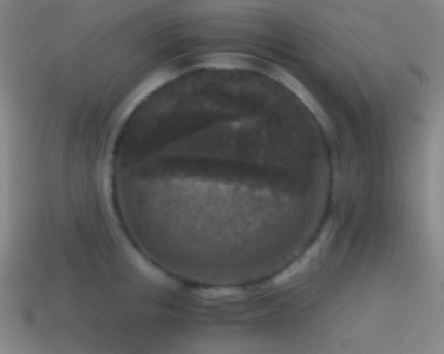 X0000114410853200910161205