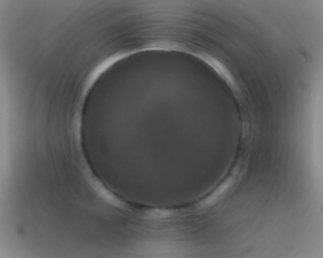 X0000114410854200910161205