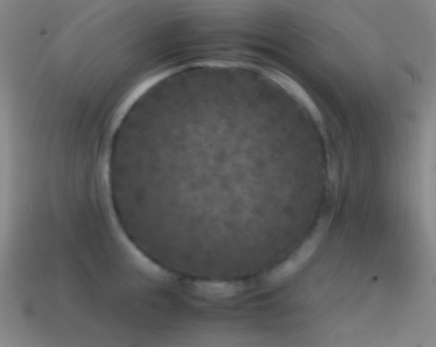 X0000114410855200910161205