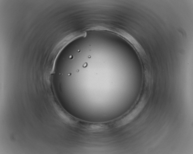 X0000114410857200910161205