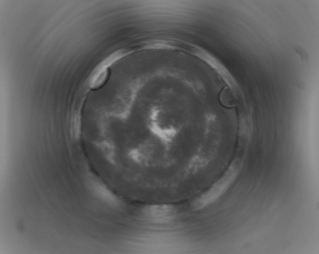 X0000114410858200910161205