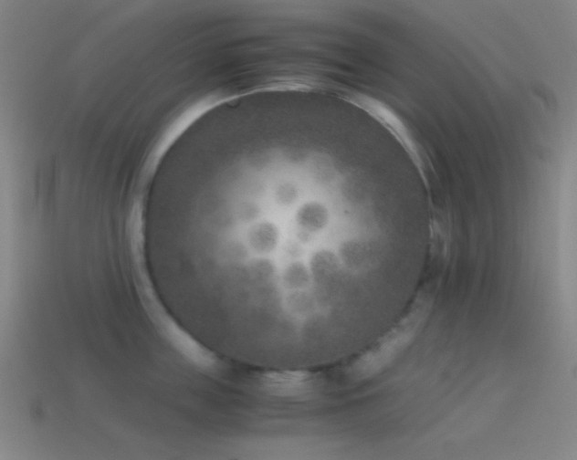 X0000114410859200910161205