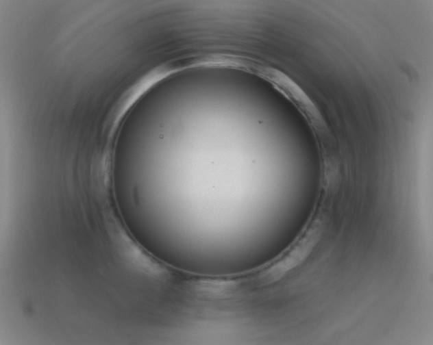 X0000114410860200910161205