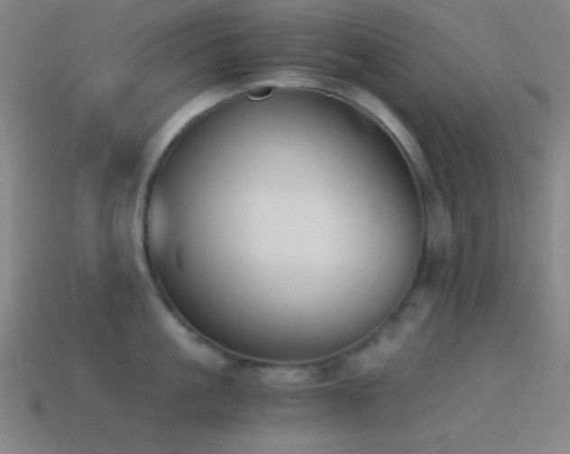 X0000114410861200910161205