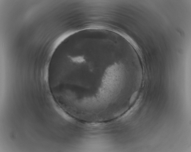 X0000114410862200910161205