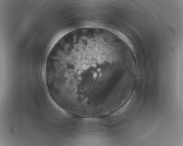 X0000114410863200910161205