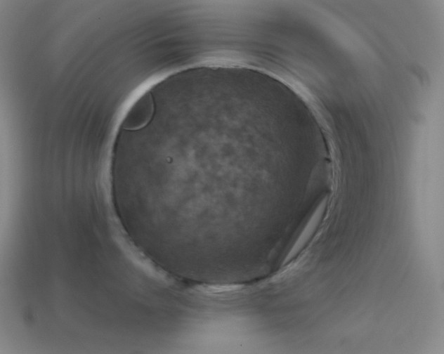 X0000114410864200910161205