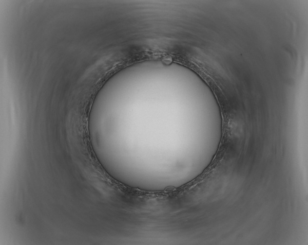 X0000114410865200910161204