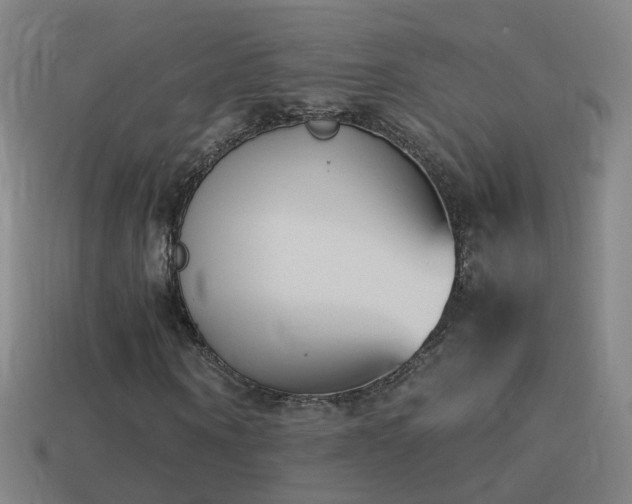 X0000114410866200910161204