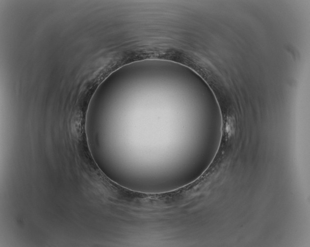 X0000114410867200910161204