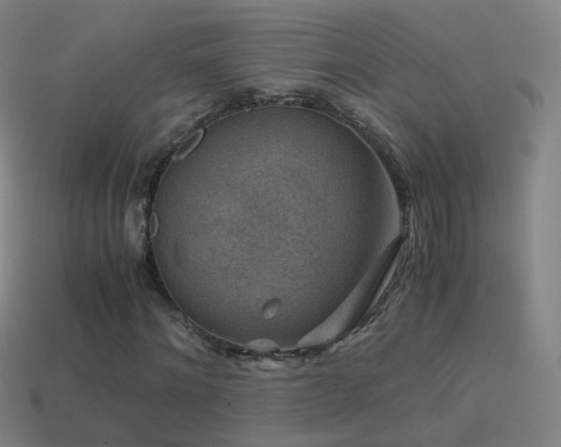 X0000114410868200910161204