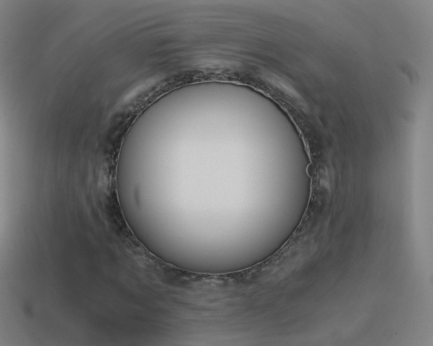 X0000114410869200910161204