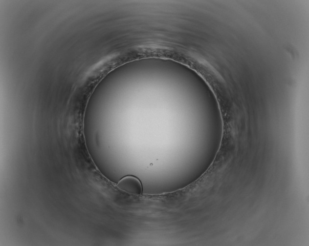 X0000114410870200910161204