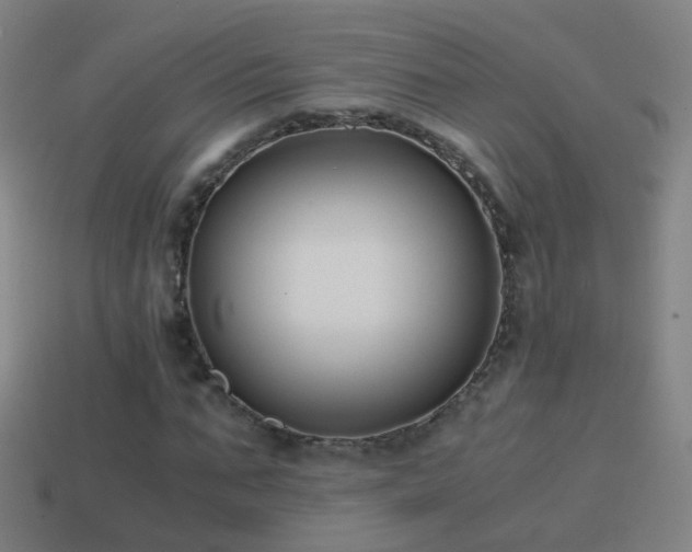X0000114410871200910161204