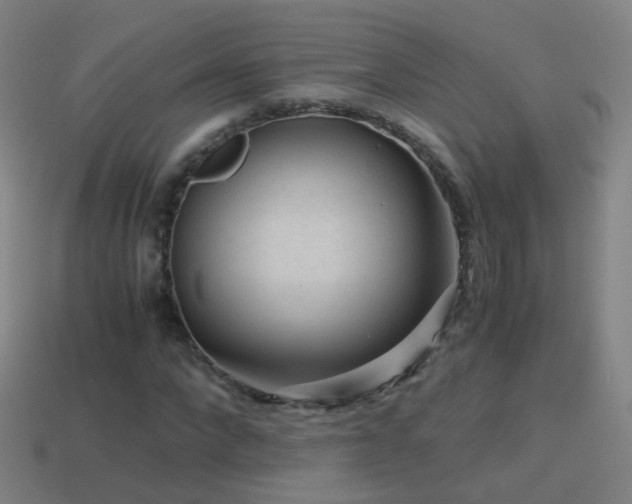 X0000114410872200910161204