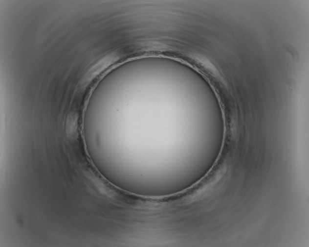 X0000114410873200910161204