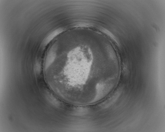 X0000114410874200910161204