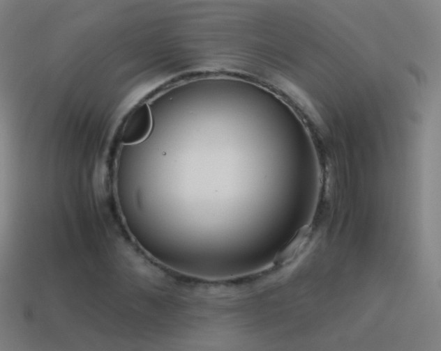 X0000114410876200910161204