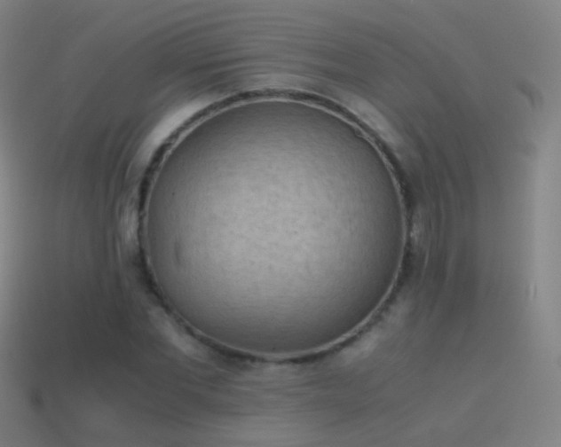 X0000114410877200910161204