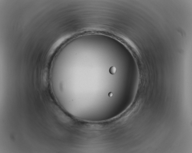 X0000114410878200910161204