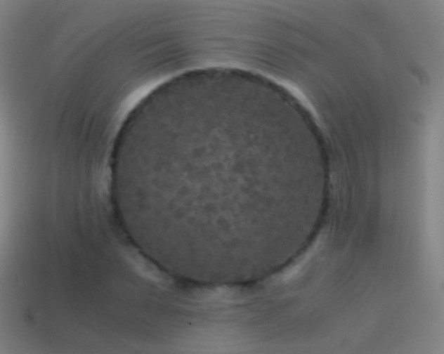 X0000114410879200910161204