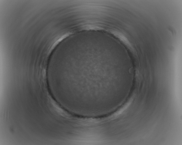 X0000114410881200910161204