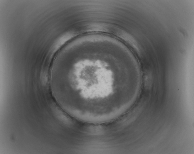X0000114410882200910161204