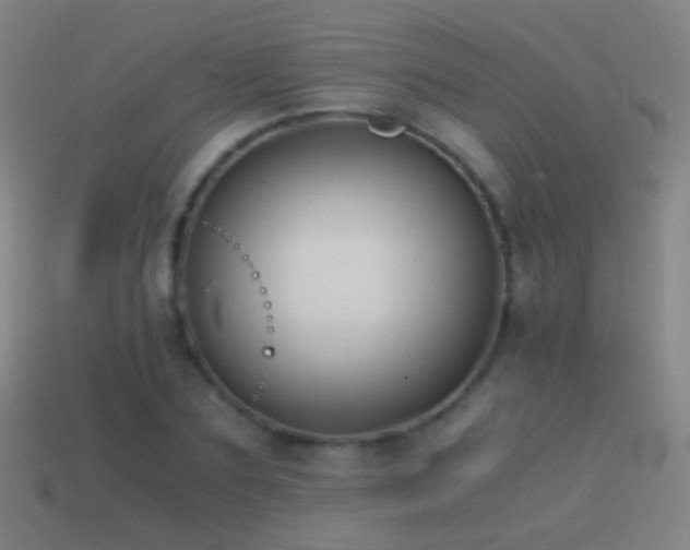 X0000114410883200910161204