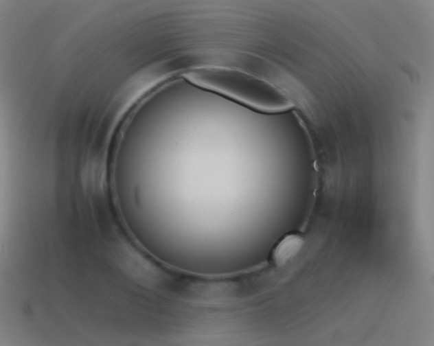 X0000114410884200910161204