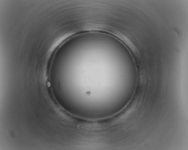 X0000114410885200910161204
