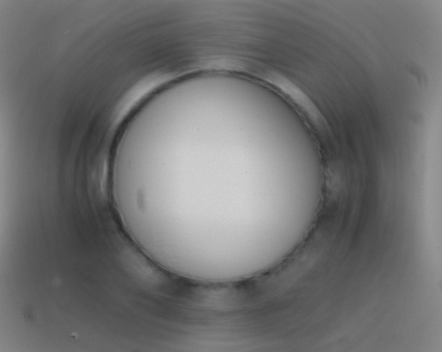 X0000114410886200910161204