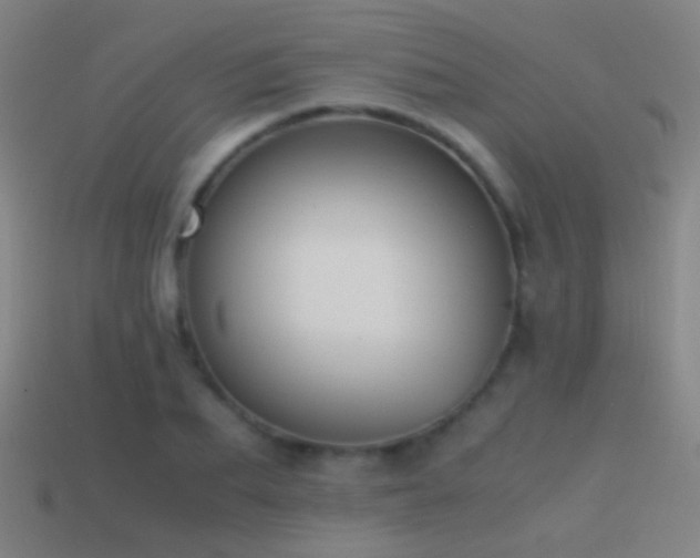 X0000114410887200910161204