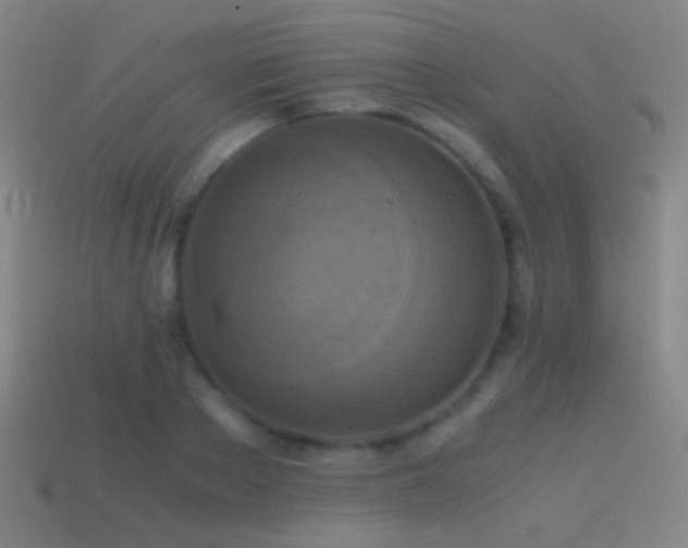 X0000114410889200910161204
