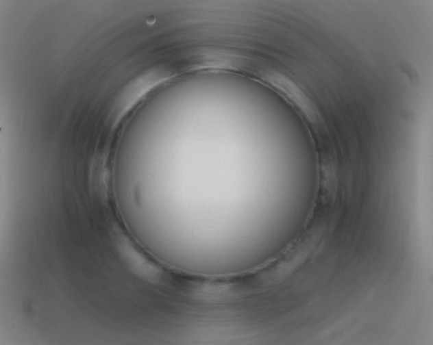 X0000114410890200910161204