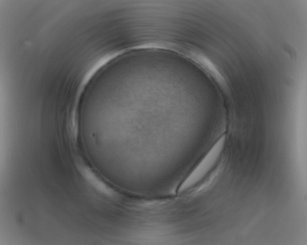 X0000114410892200910161204