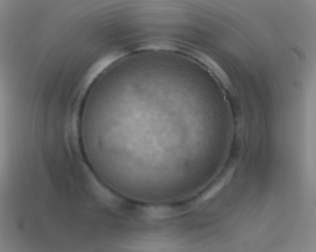 X0000114410893200910161204
