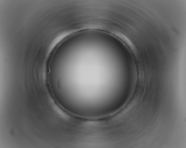 X0000114410894200910161204